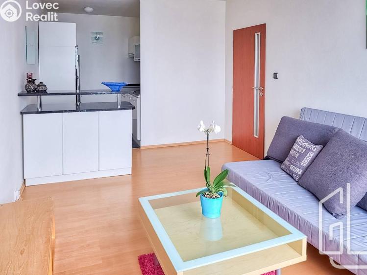 Pronájem bytu 2+KK Praha, Nechvílova č. 4