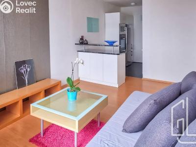 Pronájem bytu 2+KK Praha, Nechvílova č. 1