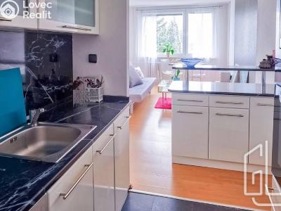 Pronájem bytu 2+KK Praha, Nechvílova č. 6