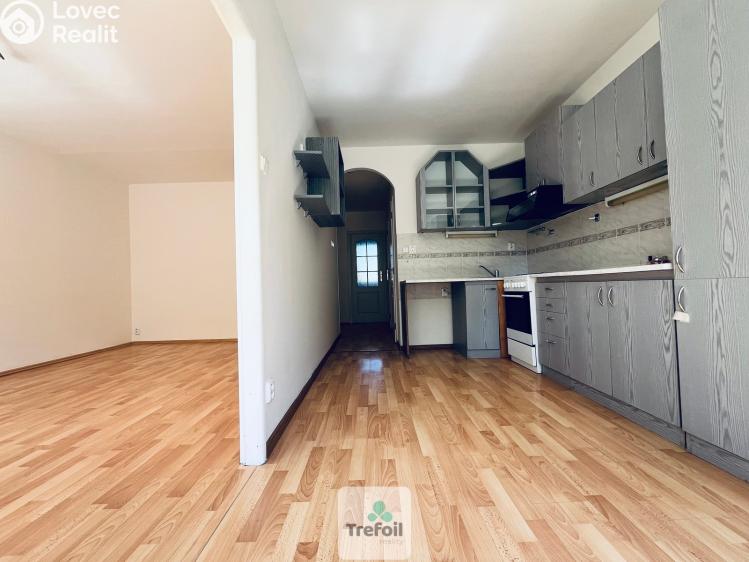 Pronájem bytu 3+1 Praha, Dürerova č. 8