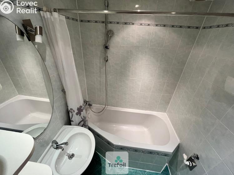 Pronájem bytu 3+1 Praha, Dürerova č. 10