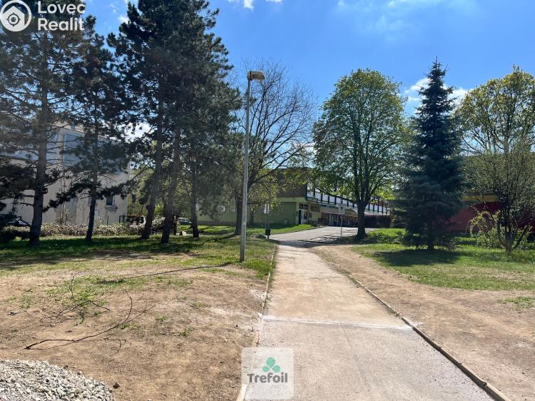 Pronájem bytu 3+1 Praha, Dürerova č. 16