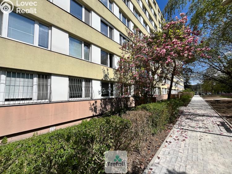 Pronájem bytu 3+1 Praha, Dürerova č. 17