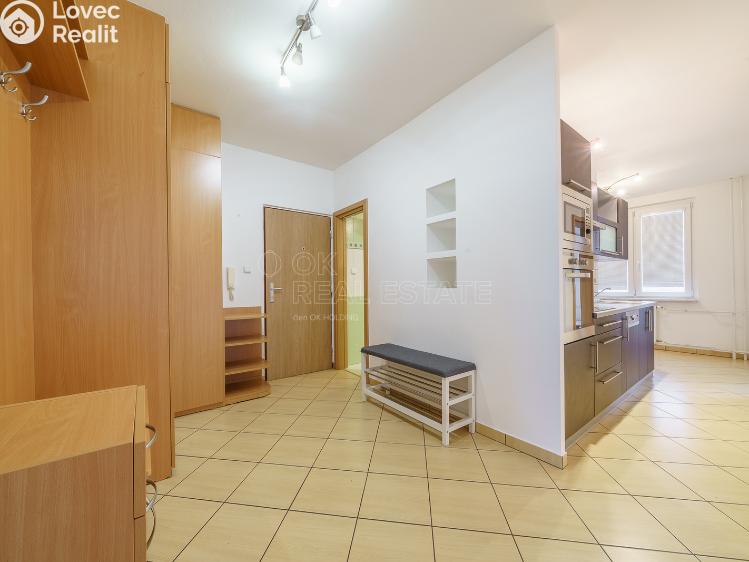 Pronájem bytu 2+1 Ostrov, Jungmannova č. 3