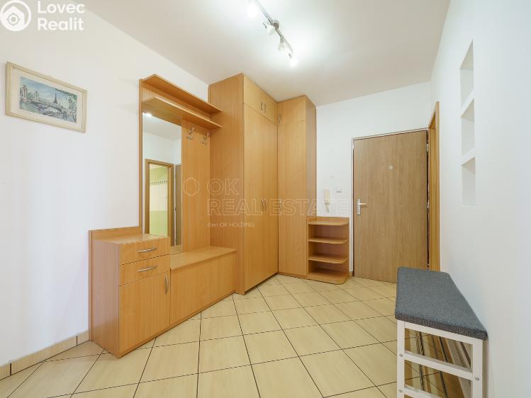 Pronájem bytu 2+1 Ostrov, Jungmannova č. 4