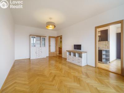 Pronájem bytu 2+1 Ostrov, Jungmannova č. 5