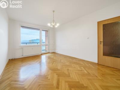 Pronájem bytu 2+1 Ostrov, Jungmannova č. 6