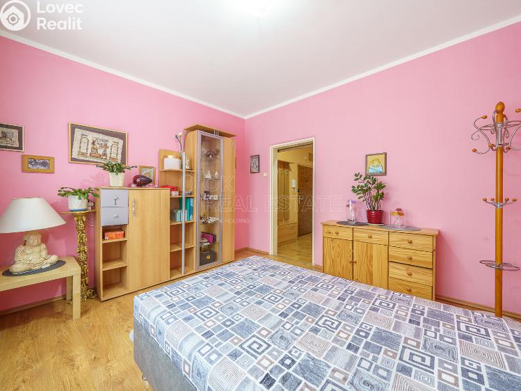 Pronájem bytu 2+1 Ostrov, Lidická č. 4