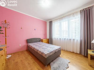 Pronájem bytu 2+1 Ostrov, Lidická č. 3