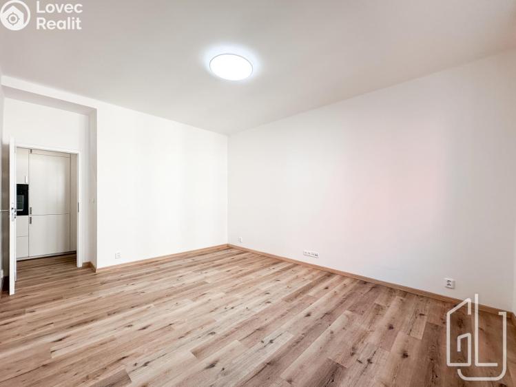 Pronájem bytu 3+1 Praha, Mládeže č. 4