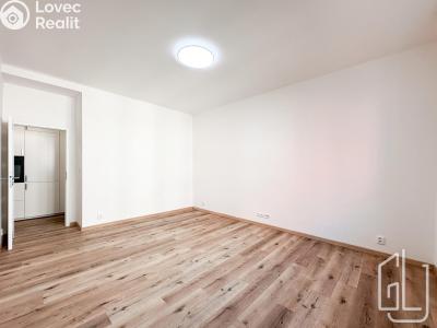 Pronájem bytu 3+1 Praha, Mládeže č. 4