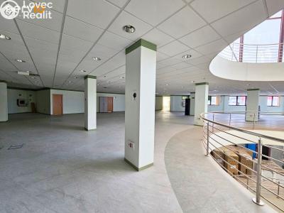 Prodej kanceláře Telde,Španělsko č. 6