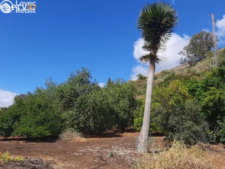 Prodej rodinného domu Vega de San Mateo,Španělsko č. 23