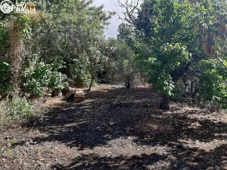 Prodej rodinného domu Vega de San Mateo,Španělsko č. 27