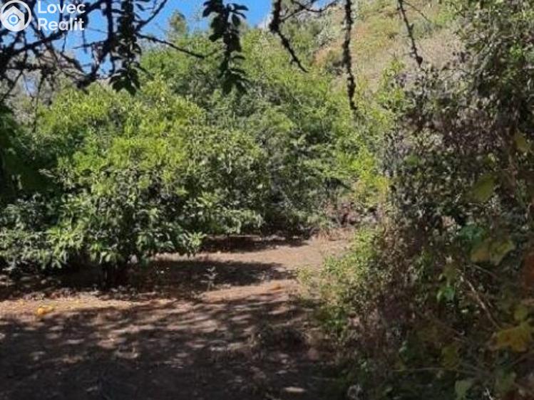 Prodej rodinného domu Vega de San Mateo,Španělsko č. 30