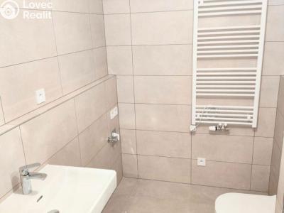 Pronájem bytu 1+KK Praha, Libušská č. 4