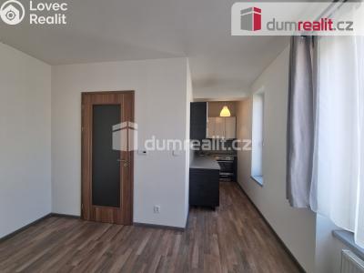 Pronájem bytu 1+KK Kolín, Václavská č. 1