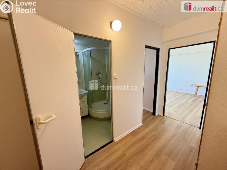 Prodej bytu 1+1 Kralupy nad Vltavou, sídl. Hůrka č. 7