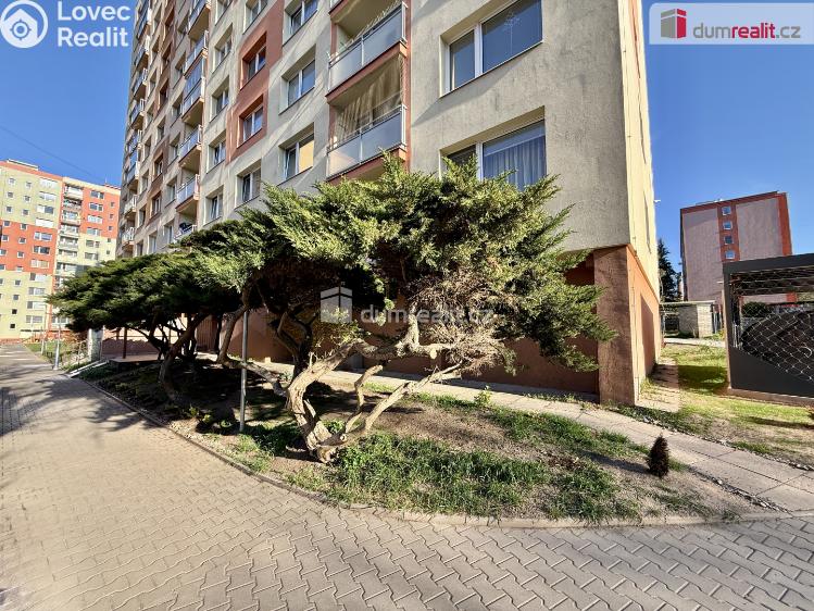 Prodej bytu 1+1 Kralupy nad Vltavou, sídl. Hůrka č. 19