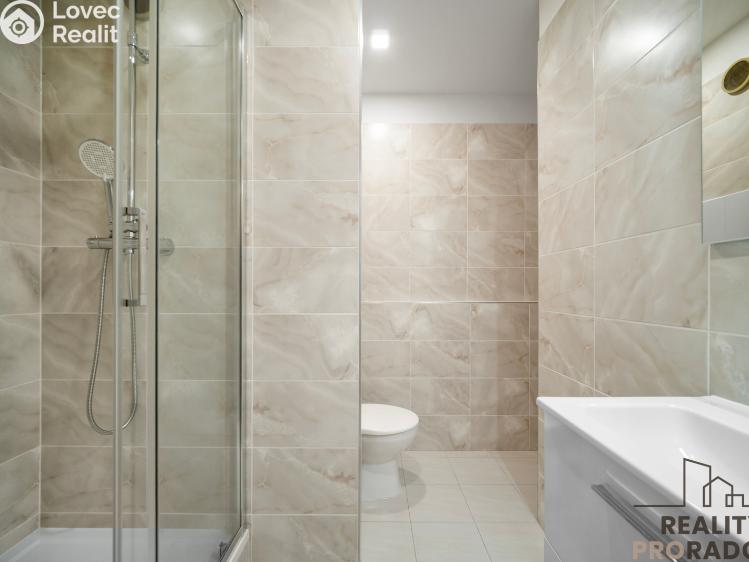 Pronájem bytu 1+1 Pardubice, Jana Zajíce 953 č. 2