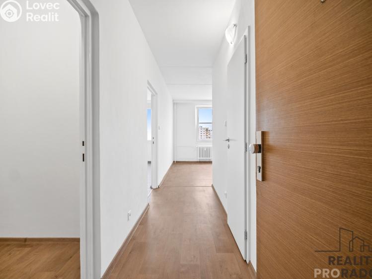 Pronájem bytu 1+1 Pardubice, Jana Zajíce 953 č. 4