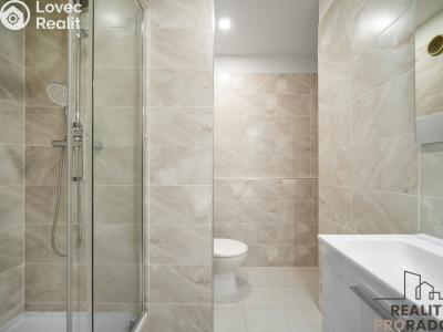 Pronájem bytu 1+1 Pardubice, Jana Zajíce 953 č. 2