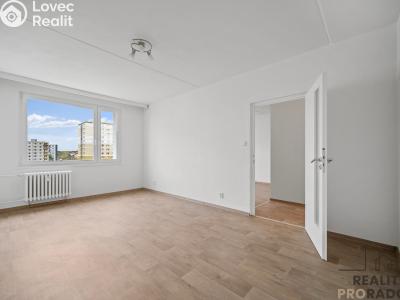 Pronájem bytu 1+1 Pardubice, Jana Zajíce 953 č. 3