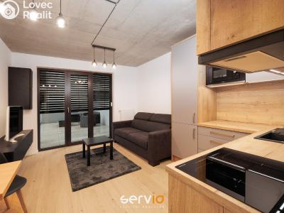 Pronájem bytu 1+KK Brno, Bratislavská č. 1