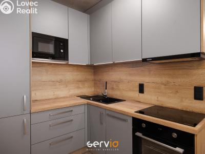 Pronájem bytu 1+KK Brno, Bratislavská č. 3