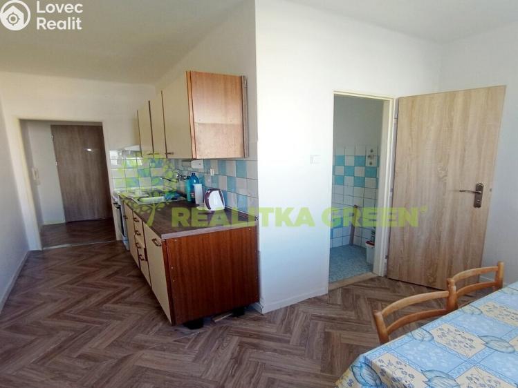 Pronájem bytu 3+1 Bechyně, Písecká 823 č. 4