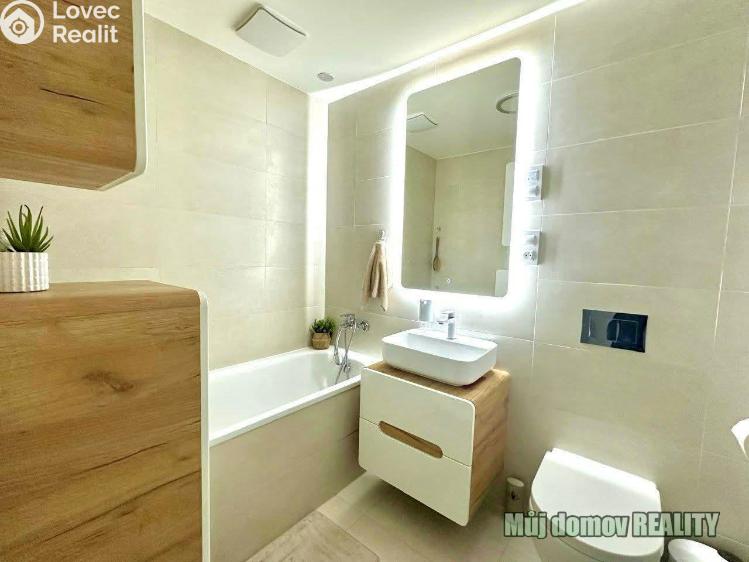 Pronájem bytu 4+KK Praha č. 7