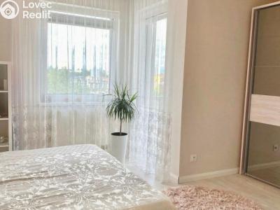 Pronájem bytu 4+KK Praha č. 1