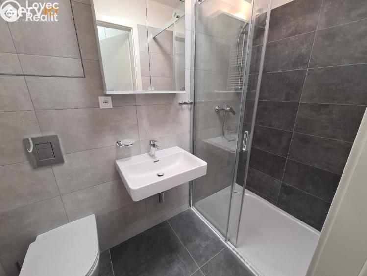 Pronájem bytu 1+KK Brno, Hvězdová 930/5 č. 3