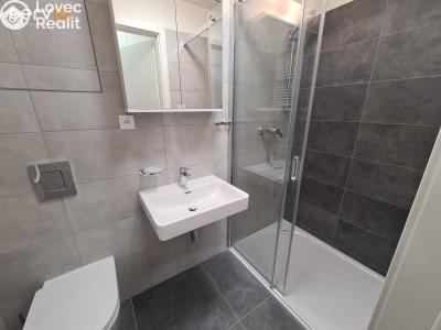 Rent apartment 1+KK Brno, Hvězdová č. 3