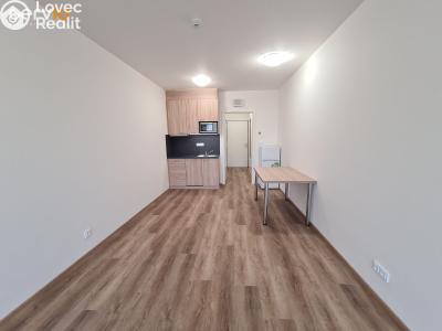 Rent apartment 1+KK Brno, Hvězdová č. 4