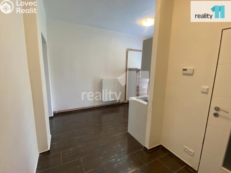 Pronájem bytu 1+1 Dobřany, Palackého č. 17