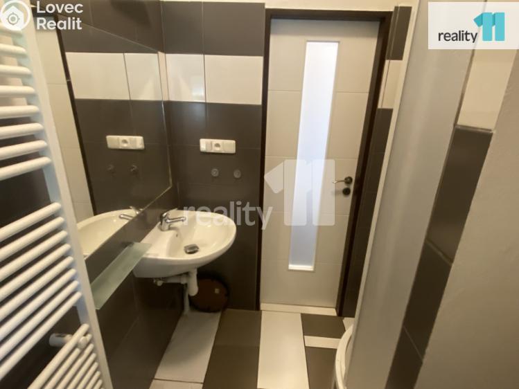 Pronájem bytu 1+1 Dobřany, Palackého č. 18