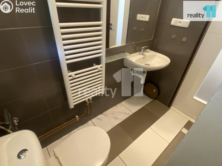 Pronájem bytu 1+1 Dobřany, Palackého č. 19