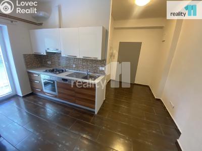 Pronájem bytu 1+1 Dobřany, Palackého č. 1