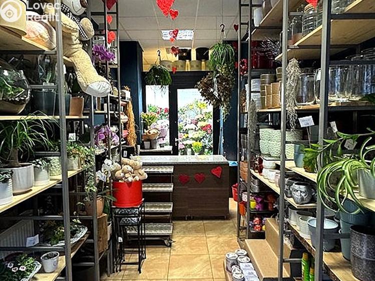 Rent commercial space Brno, Kobližná č. 2