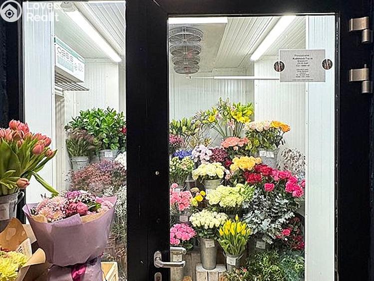 Rent commercial space Brno, Kobližná č. 5