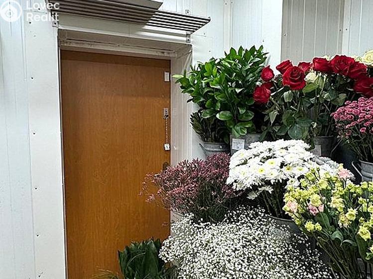 Rent commercial space Brno, Kobližná č. 7