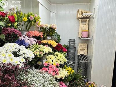 Аренда торгового помещеня Brno, Kobližná č. 6