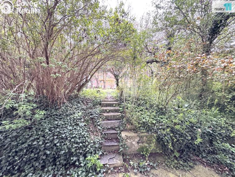 Pronájem bytu 2+KK Praha 3, Biskupcova č. 11