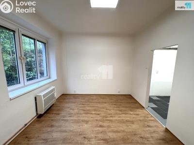 Pronájem bytu 2+KK Praha 3, Biskupcova č. 1