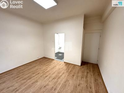 Pronájem bytu 2+KK Praha 3, Biskupcova č. 2