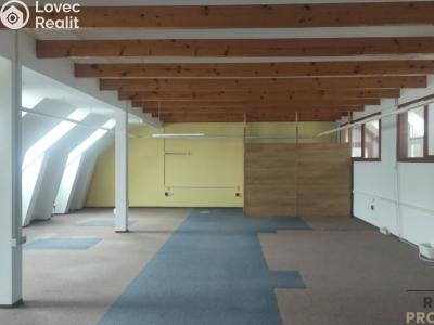 Rent office space Velké Meziříčí, Františkov č. 1