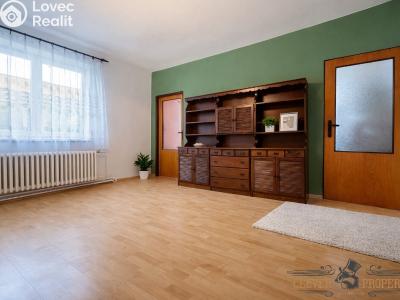 Продаж сімейного будинку Dolní Lhota, Na Kopečku č. 8