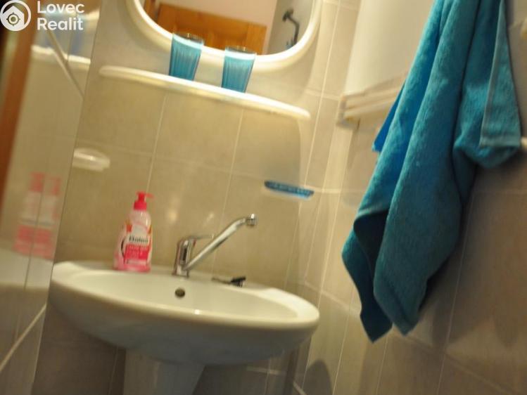 Prodej chaty Planá nad Lužnicí, Na Černé č. 8