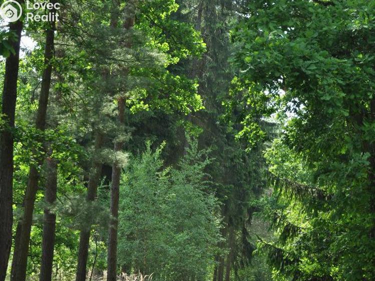 Prodej chaty Planá nad Lužnicí, Na Černé č. 23